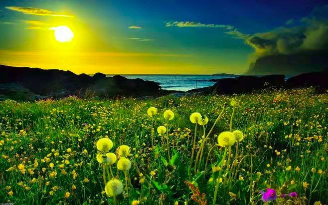 巍峨雄奇词语的意思？