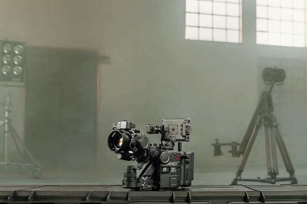 dolly英文什么意思