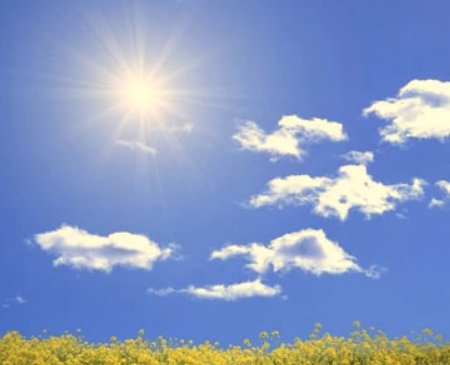 明媚的阳光写一段话