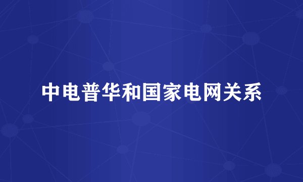 中电普华和国家电网关系