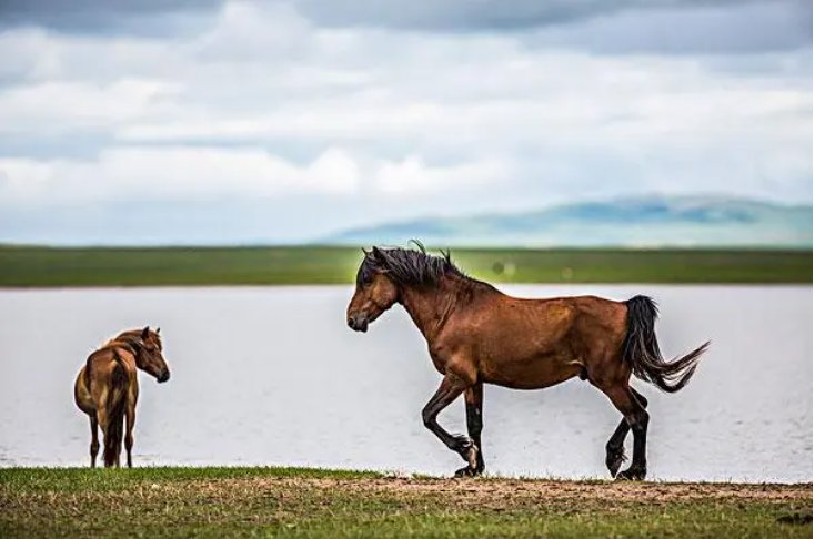 福无十全下一句