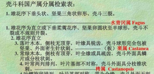 检索式怎么写？举的例子是什么？