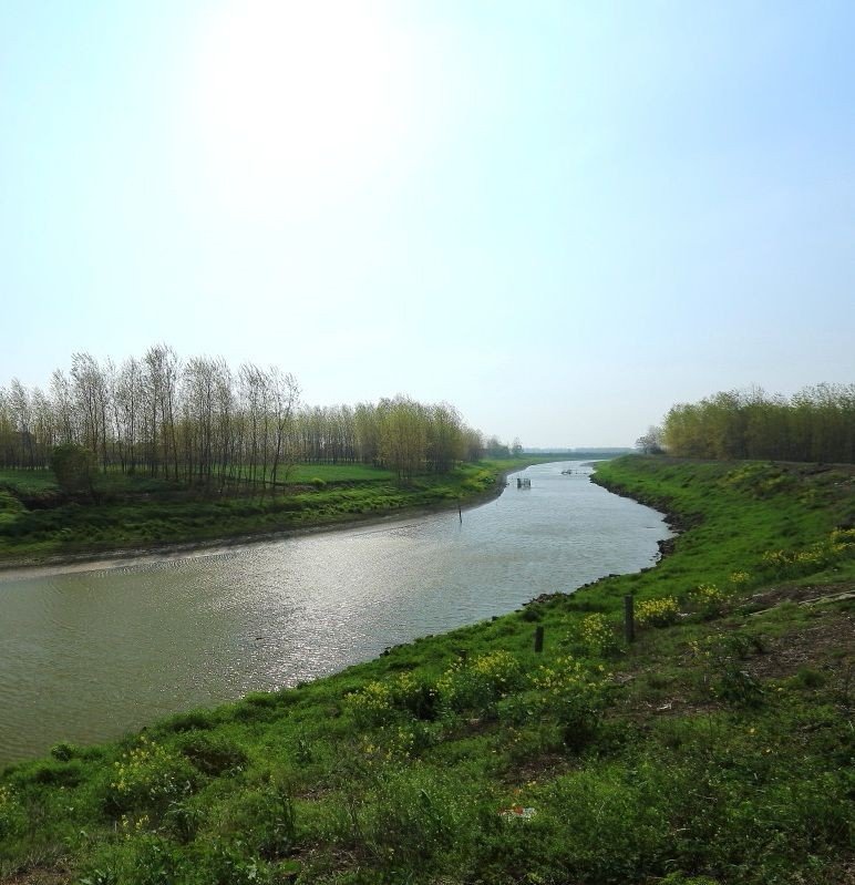 滁意思是什么意思