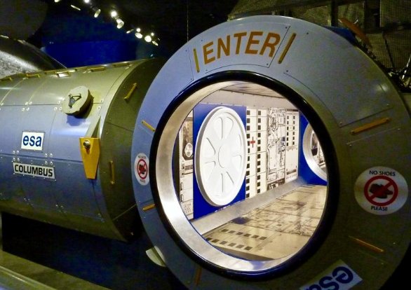 ssf是什么意思？