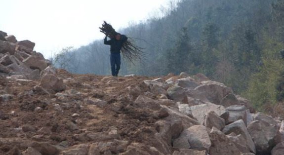 欲知山中事的下一句是什么