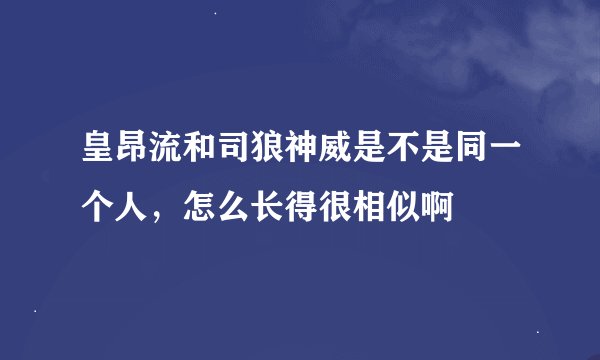 皇昂流和司狼神威是不是同一个人，怎么长得很相似啊