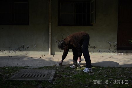 拱伏无违的释义？