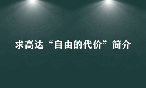 求高达“自由的代价”简介
