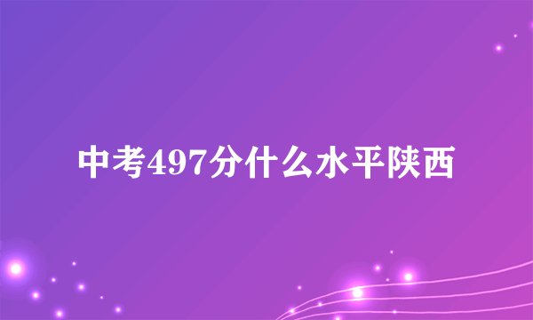 中考497分什么水平陕西