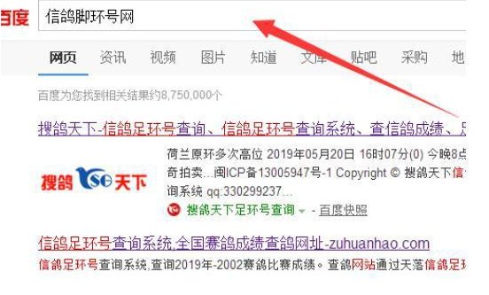 如何查询自己的信鸽脚环号？