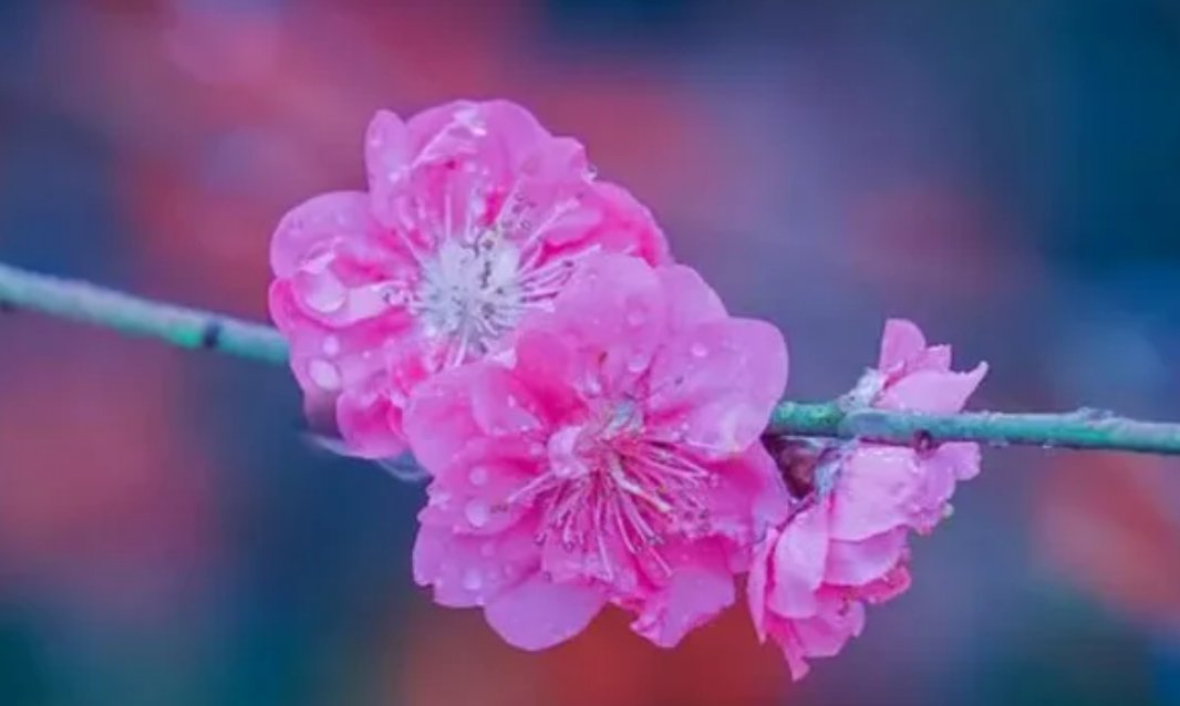 好看用英语怎么说