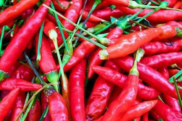 贵阳有什么特产？