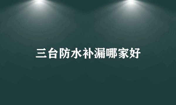 三台防水补漏哪家好