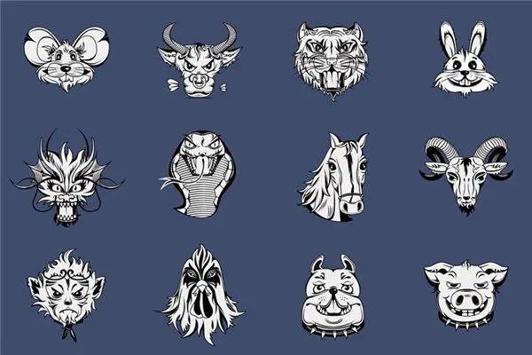 海阔天空打一正确动物