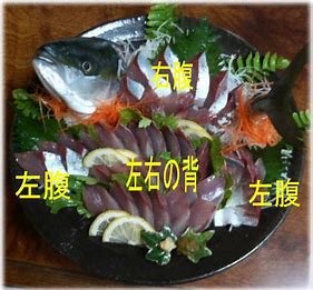 “ヤズ姿造”的发音：如何用日语发音“ヤズ姿造”