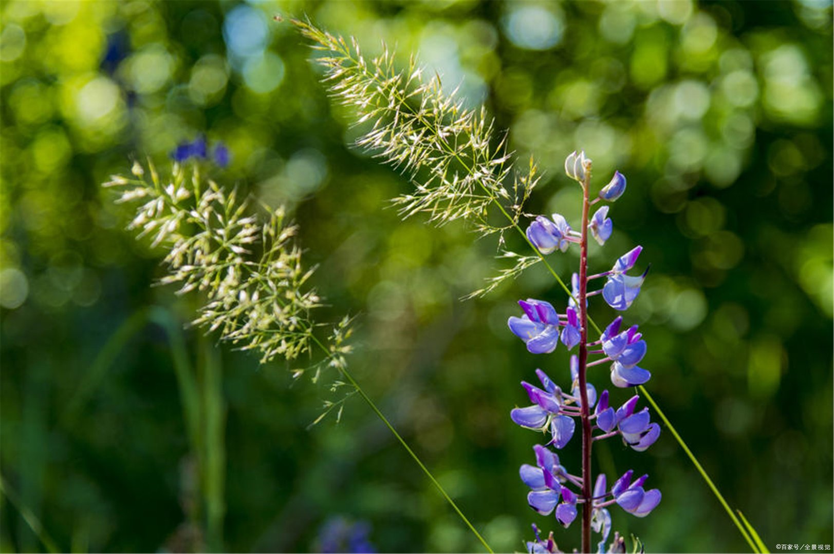 海伦·凯勒的主要作品有哪些？