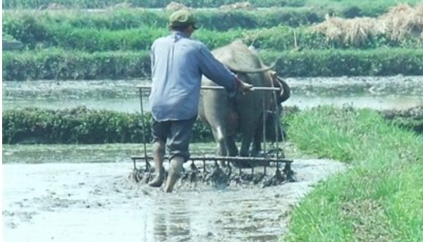 农夫耕田的译文、启示
