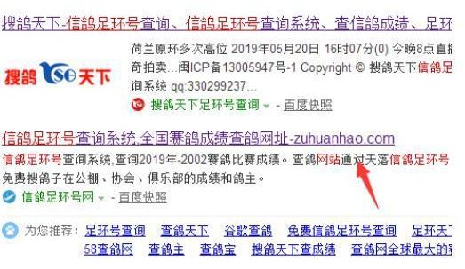 如何查询自己的信鸽脚环号？