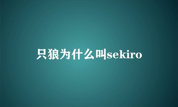 只狼为什么叫sekiro