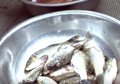 永年广府酥鱼的做法步骤