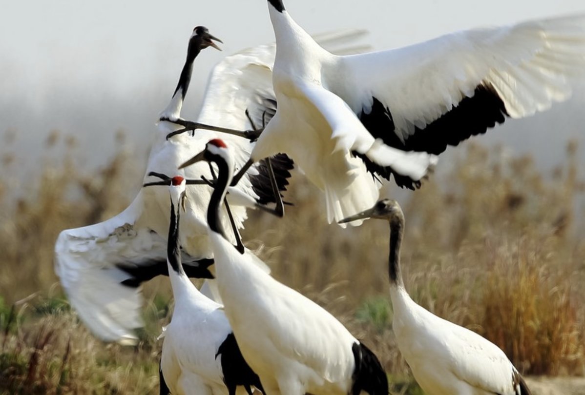 控鹤监秘记是谁写的
