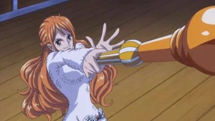 路飞的海贼团里面有多少人啊?