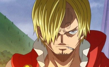 路飞的海贼团里面有多少人啊?