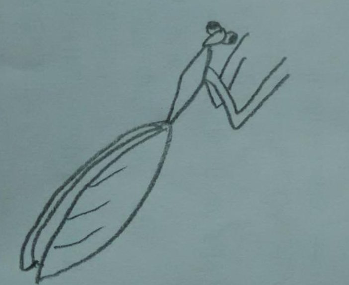 螳螂怎么画 简单