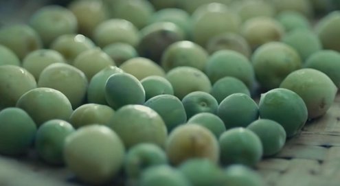 你浅浅的微笑就像乌梅子酱是什么意思？