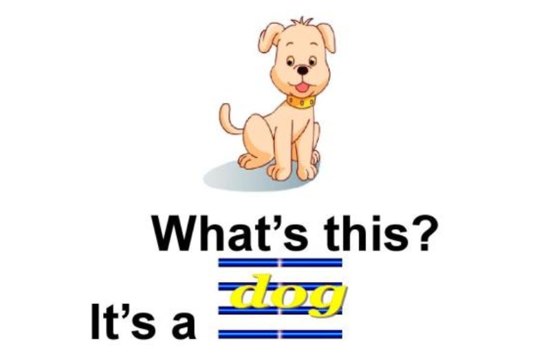 这是什么？用英语怎么说？