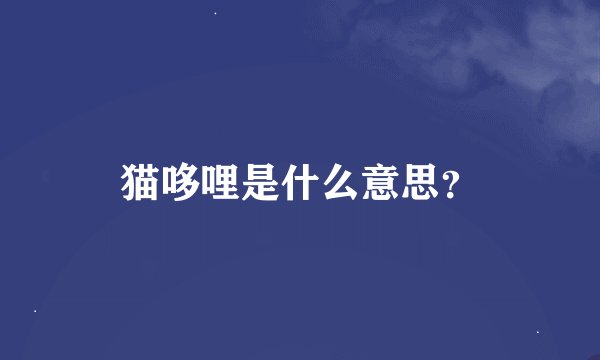 猫哆哩是什么意思？