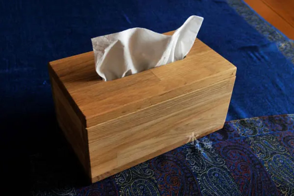 拿妹妹做实验的游戏纸巾盒叫什么