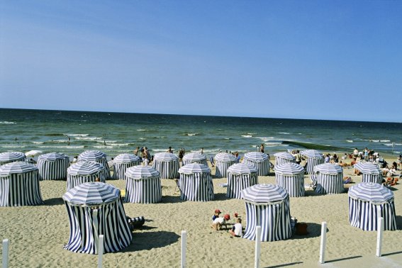 d- day是什么意思啊？