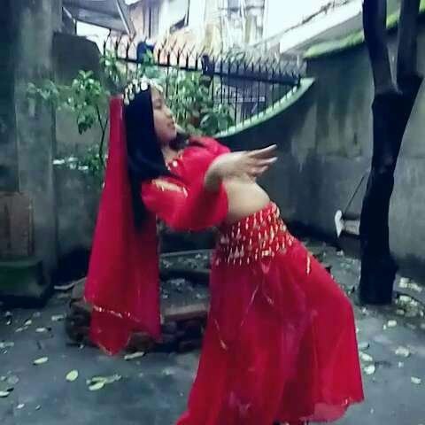 灵蛇舞的基本信息