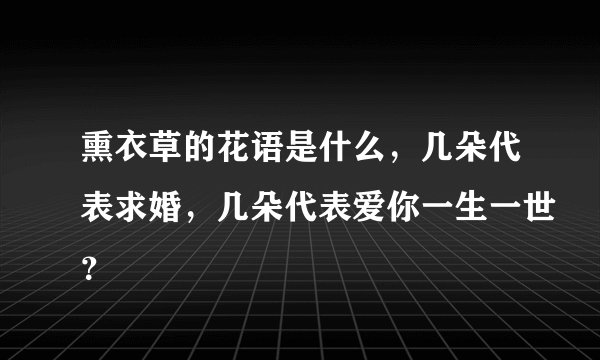 熏衣草的花语是什么，几朵代表求婚，几朵代表爱你一生一世？