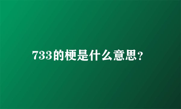 733的梗是什么意思？