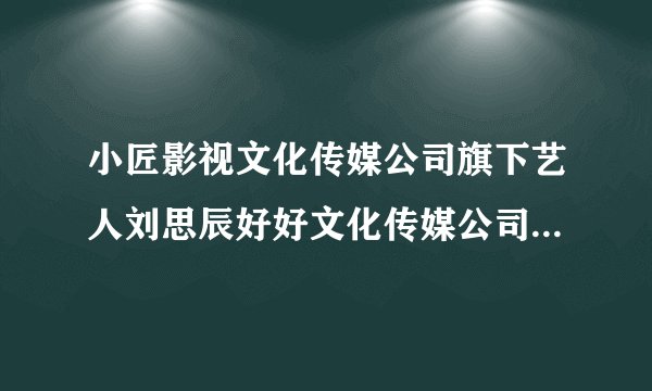 小匠影视文化传媒公司旗下艺人刘思辰好好文化传媒公司执行董事简介