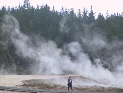 任凭风吹雨打 胜似闲庭信步是什么意思