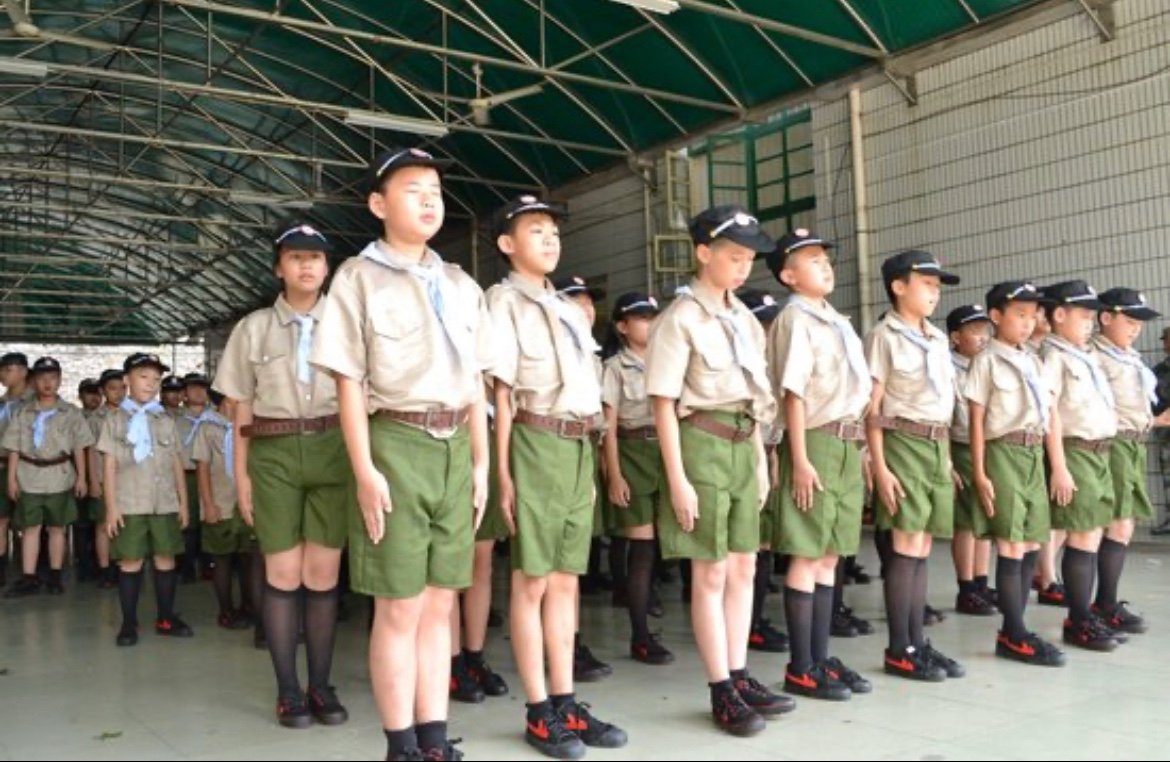 scout是什么意思