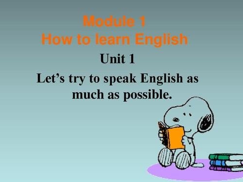 as much as什么意思？