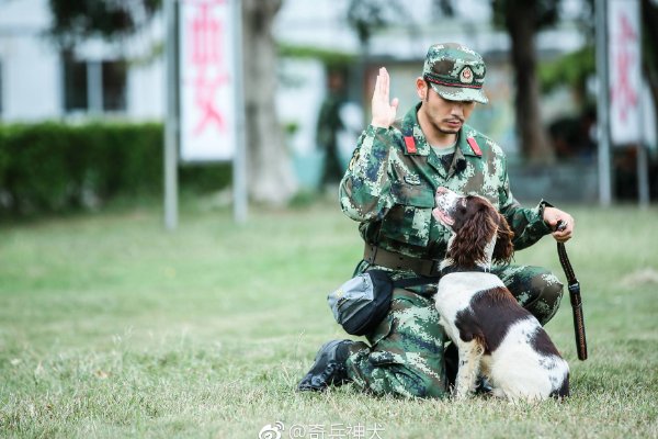 杨烁主演的电视剧全部