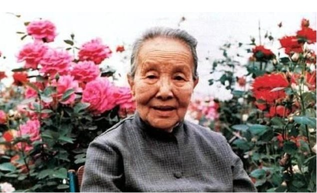 冰心的短诗是什么？