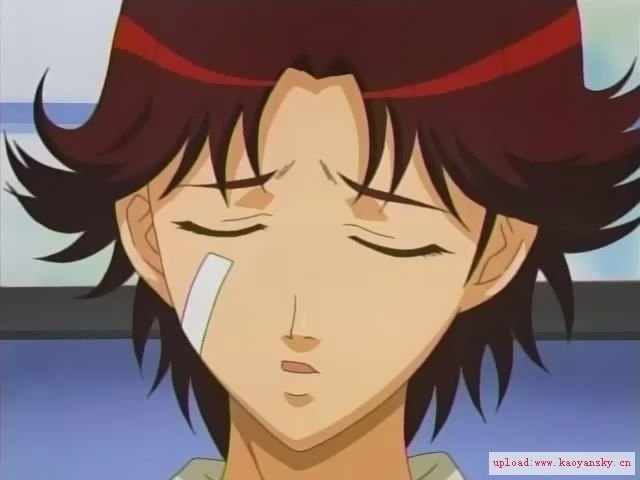 青春学园的菊丸英二