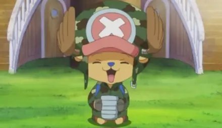 路飞的海贼团里面有多少人啊?