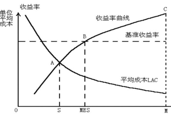 什么是规模经济