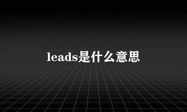leads是什么意思