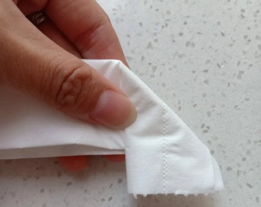 卫生纸玫瑰花折法5步