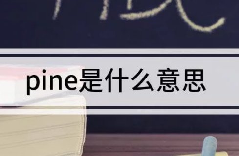 pine是什么意思英语