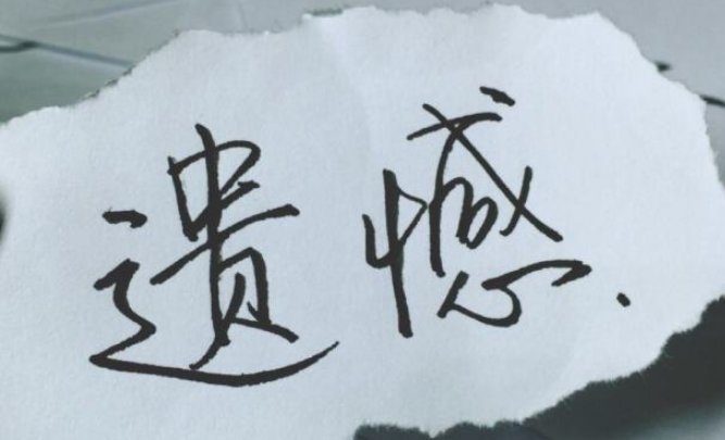 遗憾是什么意思？