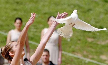 什么叫放鸽子？